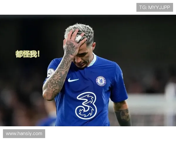 恩佐·费尔南德斯的世界杯冠军是否为其最高荣誉 恩佐·费尔南德斯的世界杯冠军是否为其最高荣誉